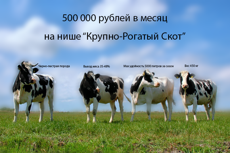 500 000 рублей